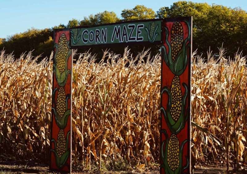 Fall activities in Omaha